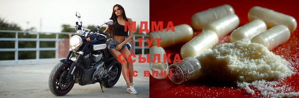гидра Михайловка