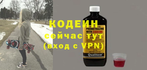 гидра Гусь-Хрустальный
