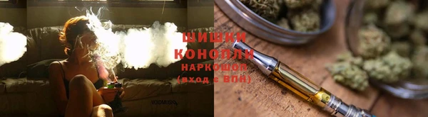 гидра Гусь-Хрустальный