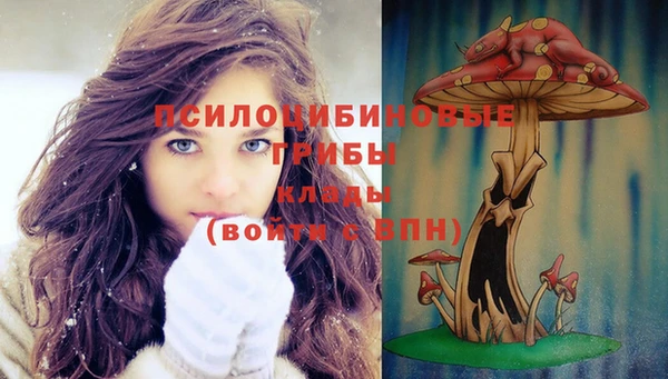 мяу мяу кристалл Гусиноозёрск