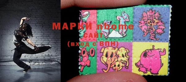 apvp Гусев