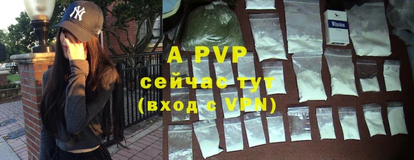 apvp Гусев