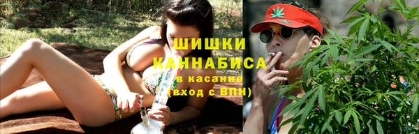 гидра Гусь-Хрустальный