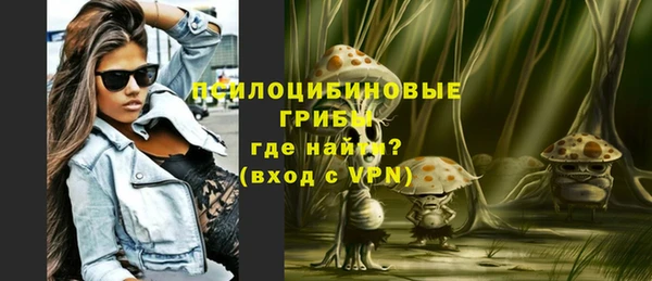 гидра Михайловка