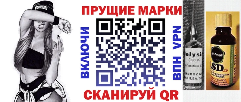 где можно купить наркотик  Данков  блэк спрут ТОР  Марки N-bome 1,5мг 