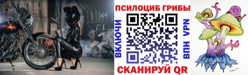Галлюциногенные грибы GOLDEN TEACHER  darknet формула  Данков  как найти наркотики 